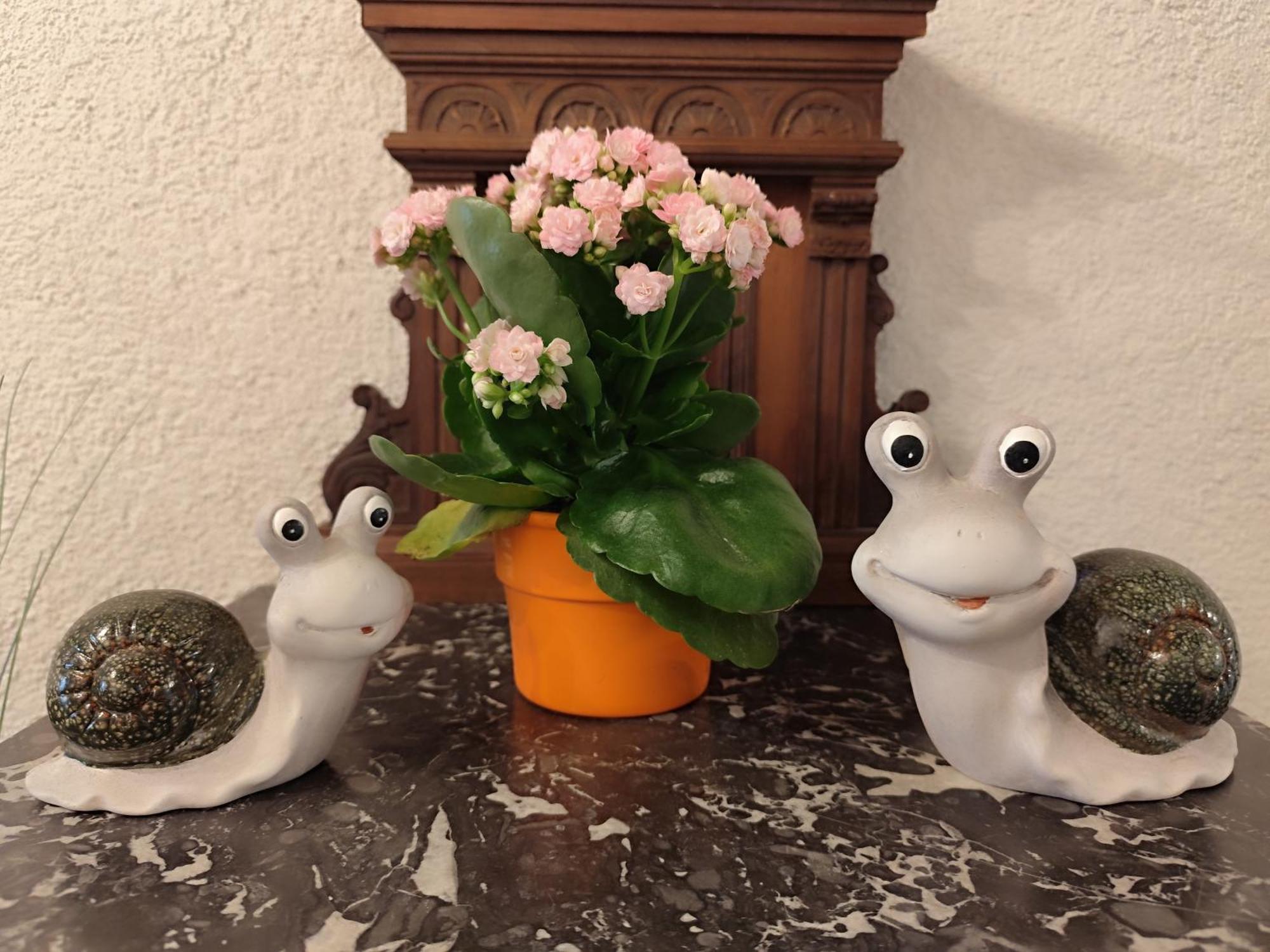 Privatzimmer Pendl Abtenau Esterno foto
