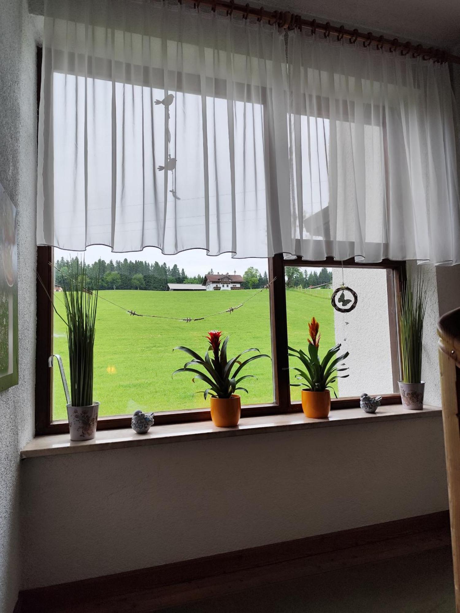 Privatzimmer Pendl Abtenau Esterno foto