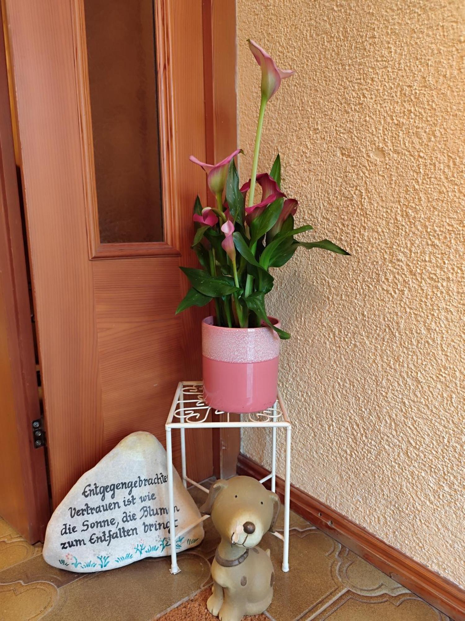 Privatzimmer Pendl Abtenau Esterno foto